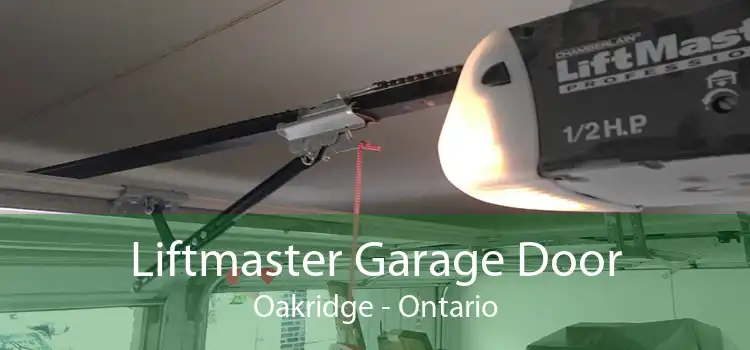 Liftmaster Garage Door Oakridge - Ontario