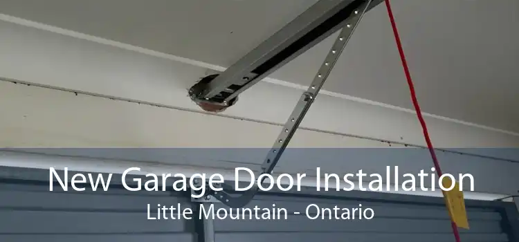 New Garage Door Installation Little Mountain - Ontario
