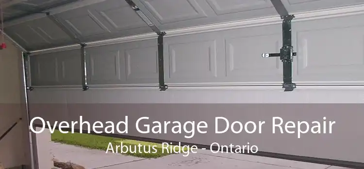 Overhead Garage Door Repair Arbutus Ridge - Ontario