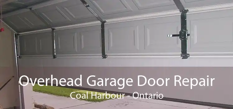 Overhead Garage Door Repair Coal Harbour - Ontario