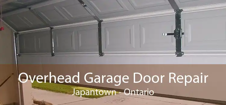 Overhead Garage Door Repair Japantown - Ontario