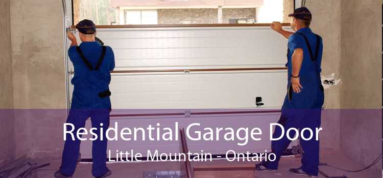 Residential Garage Door Little Mountain - Ontario