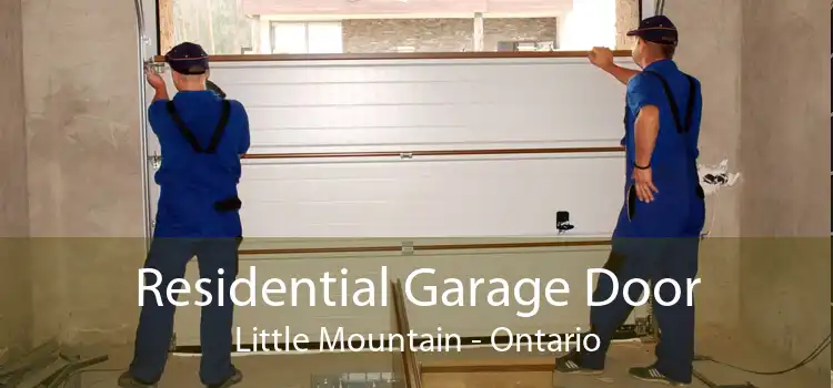 Residential Garage Door Little Mountain - Ontario