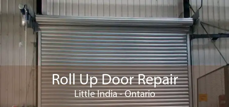 Roll Up Door Repair Little India - Ontario