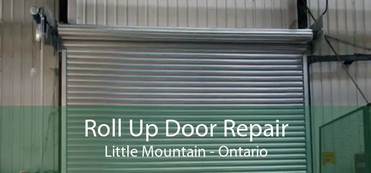 Roll Up Door Repair Little Mountain - Ontario