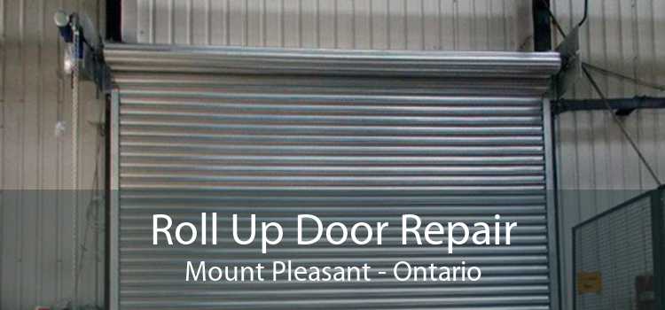 Roll Up Door Repair Mount Pleasant - Ontario