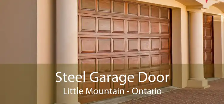 Steel Garage Door Little Mountain - Ontario