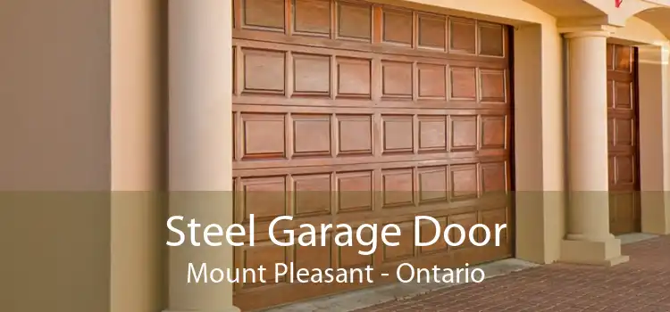 Steel Garage Door Mount Pleasant - Ontario